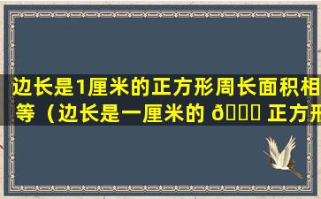 边长是1厘米的正方形周长面积相等（边长是一厘米的 🍀 正方形面积是一 🌿 平方厘米周长是多少）